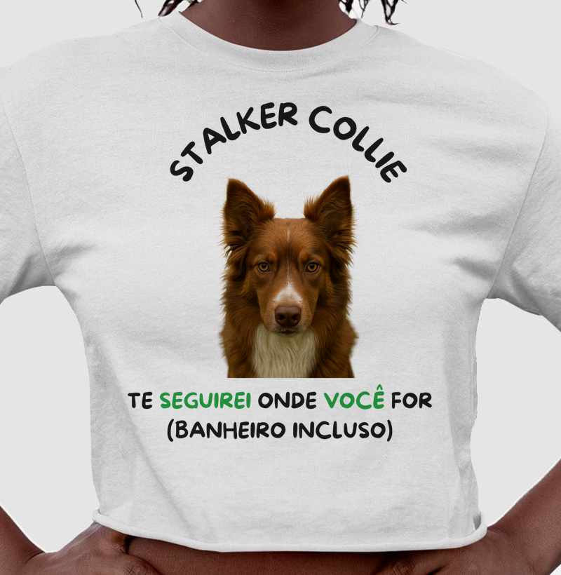 Stalker collie