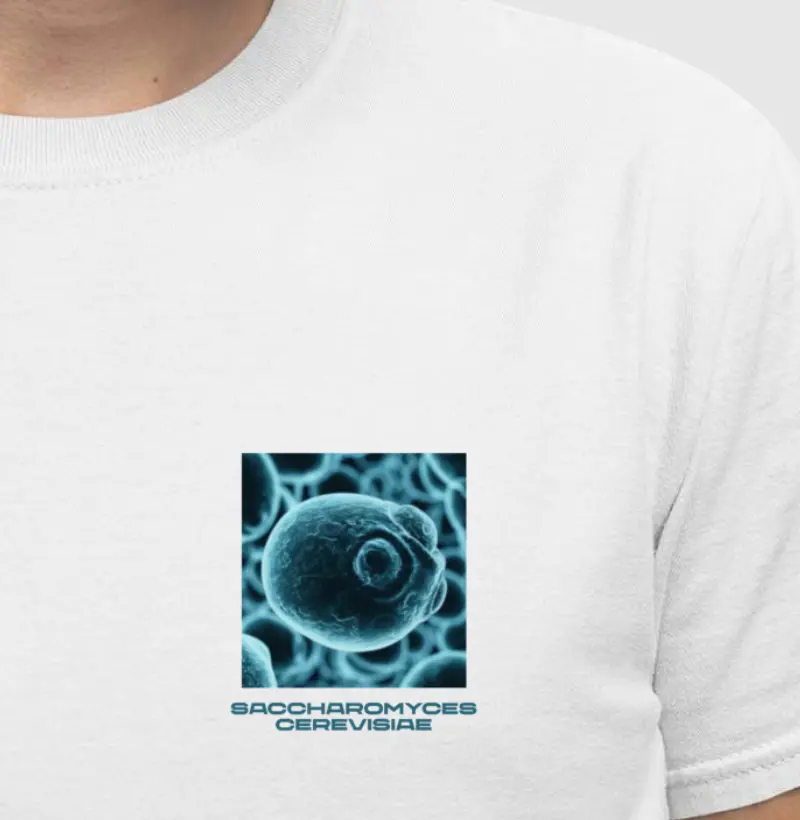 Saccharomyces Cerevisiae