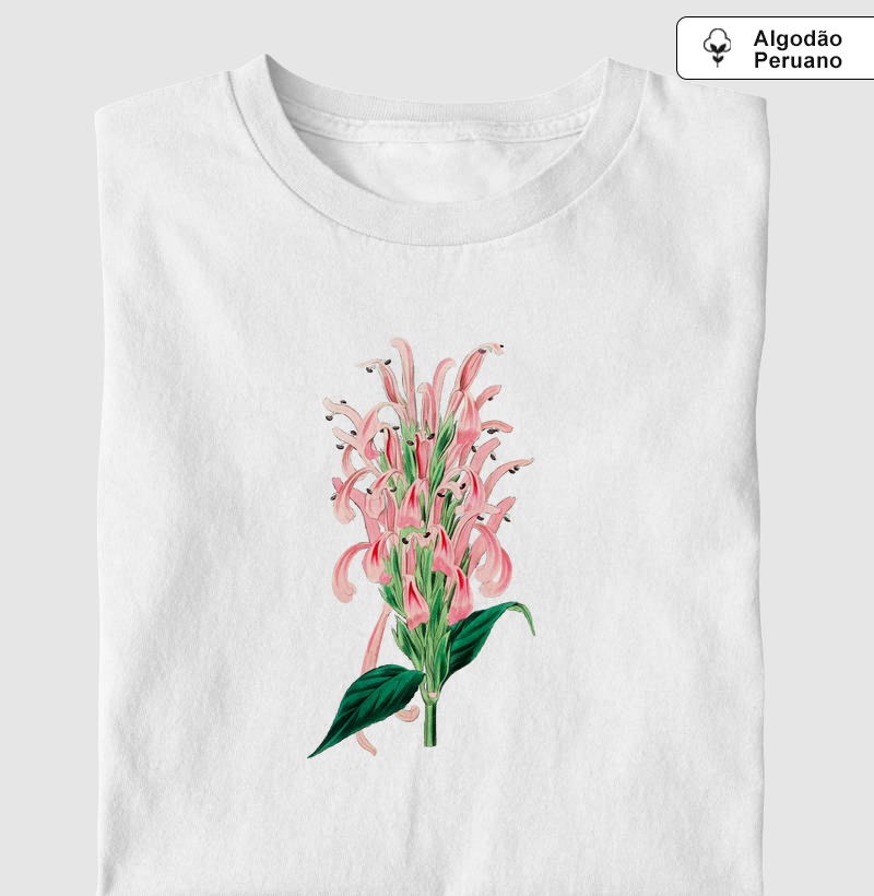 Justicia carnea
