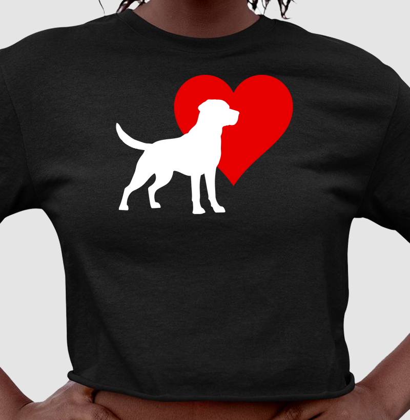 Cão I