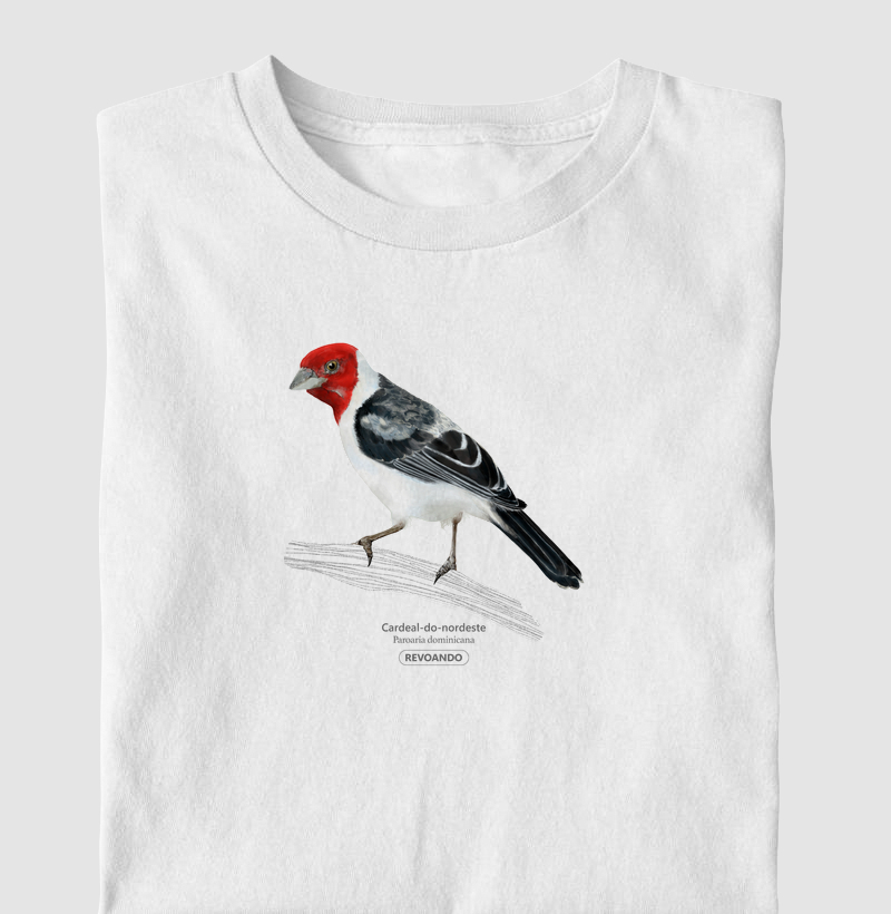 Aves do Brasil - Cardeal do Nordeste