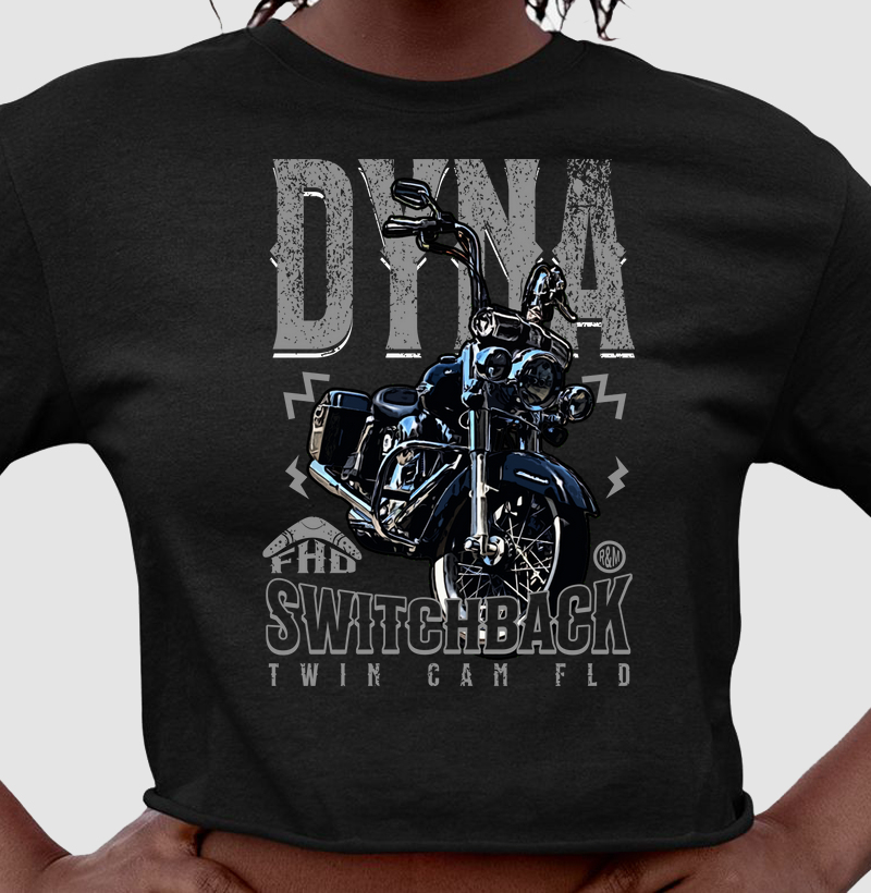Dyna Switchback