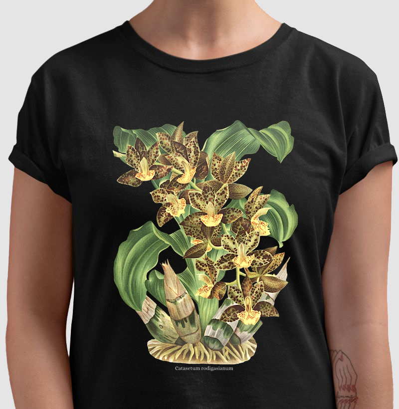 Camiseta Catasetum rodigasianum