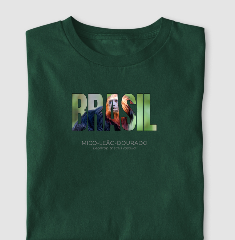 Animais do Brasil – Mico-leão-dourado