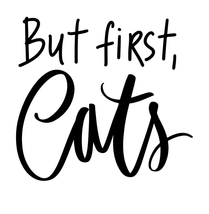 But first cats