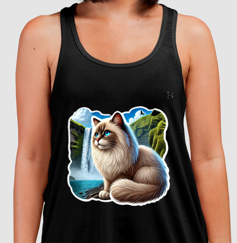 Gato - Ragdoll