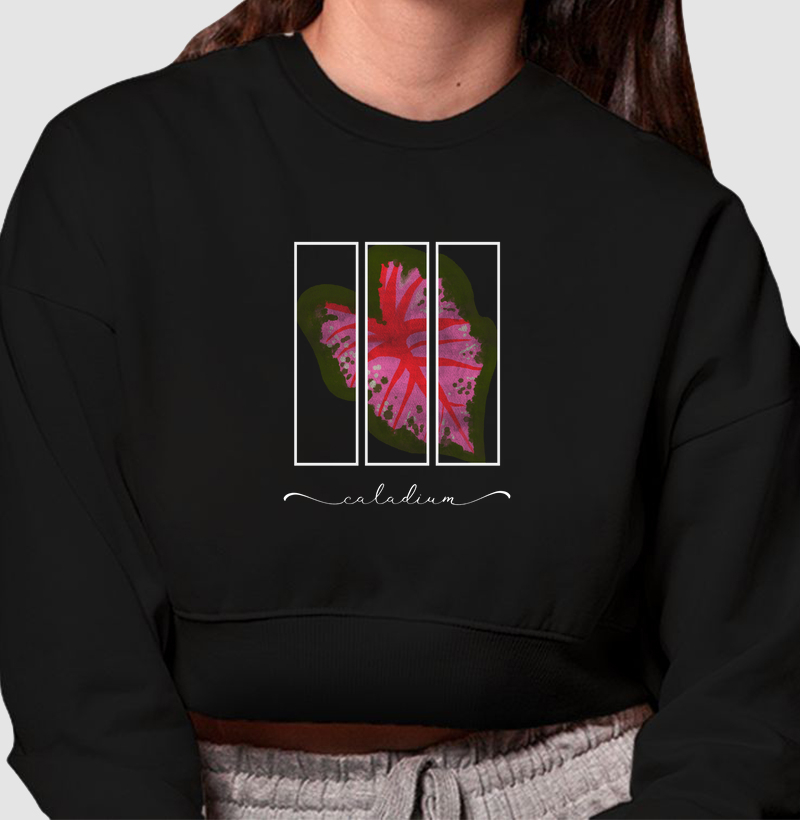 Caladium