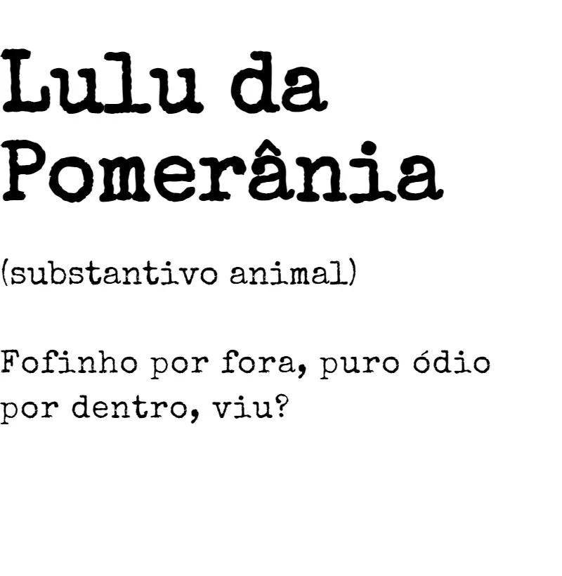 Lulu da Pomerânia s.a. 01
