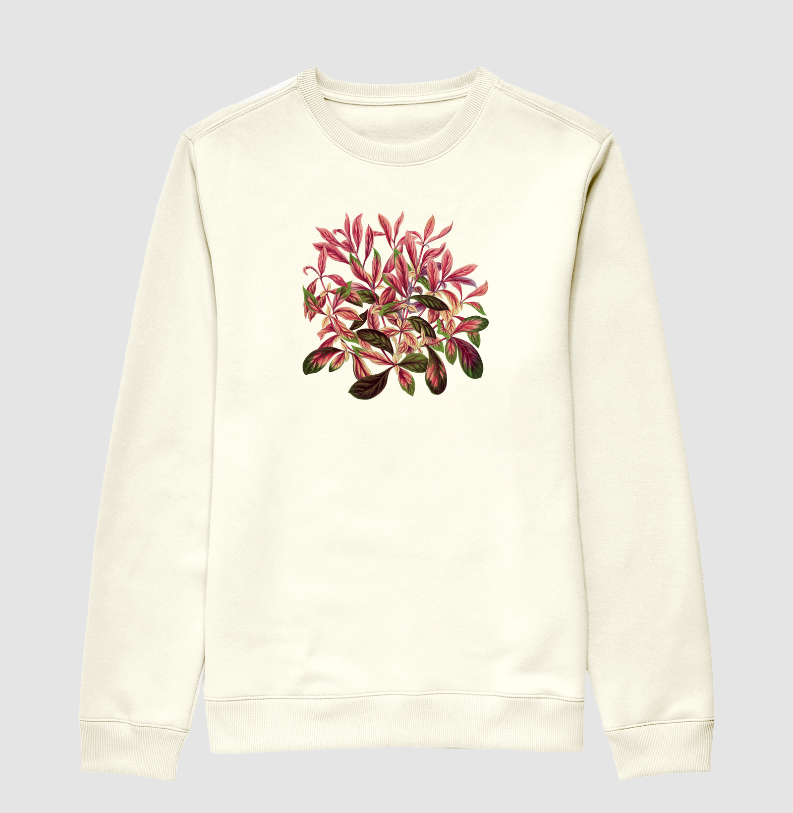 Alternanthera