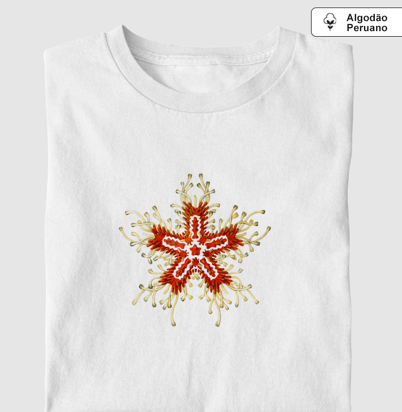 Estrela do Mar