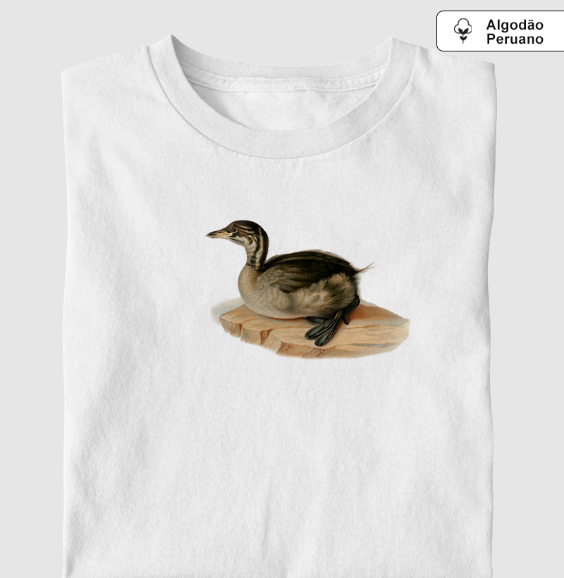 Young horned grebe