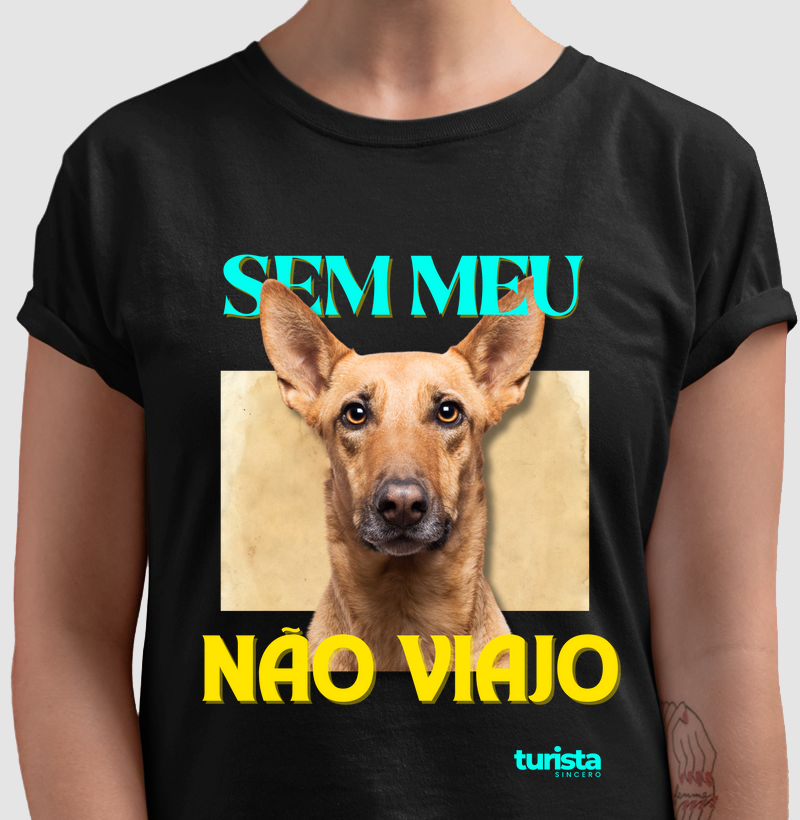 Sem meu