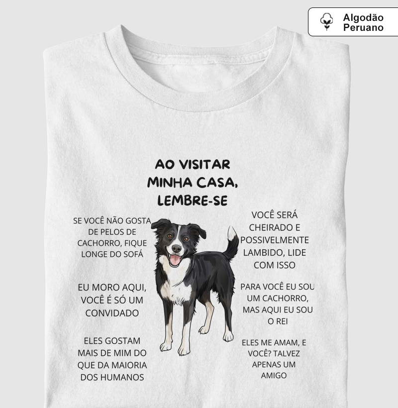Ao visitar minha casa, lembre-se