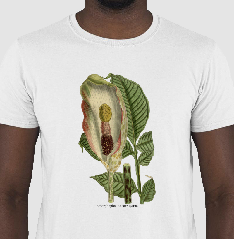 Camiseta (Tshirt) Amorphophallus corrugatus