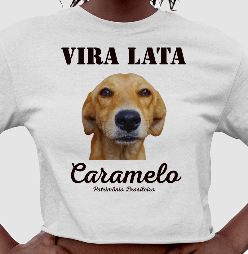 Vira-Lata Caramelo