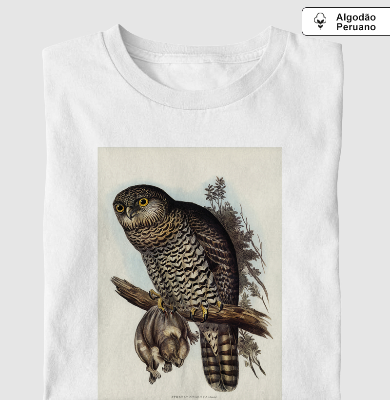 Powerful Owl
