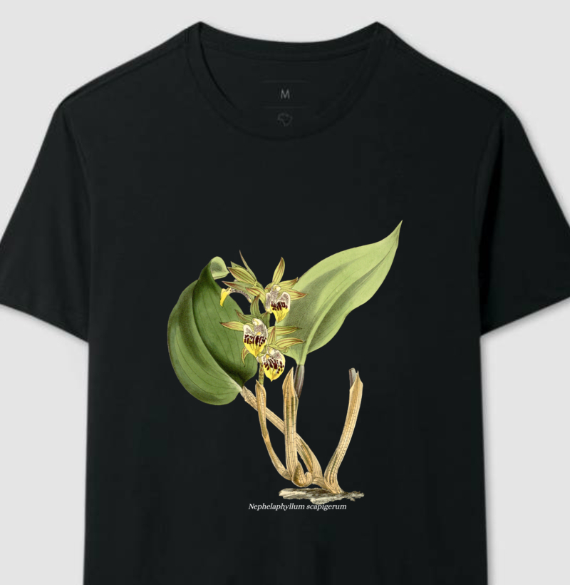 Camiseta Nephelaphyllum scapigerum t-shirt