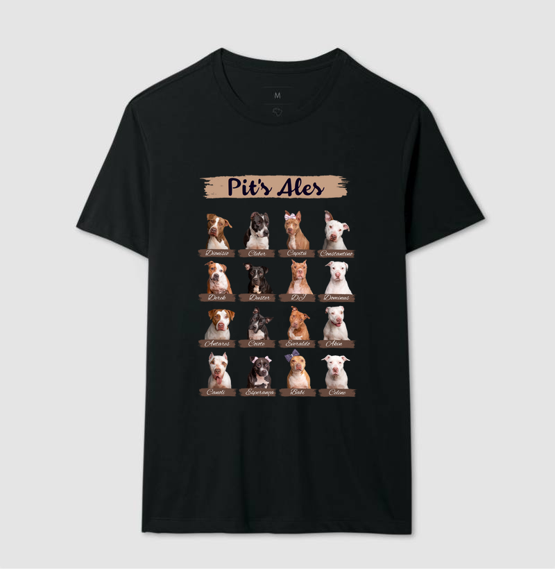 Camiseta Listras de Pit's Ales