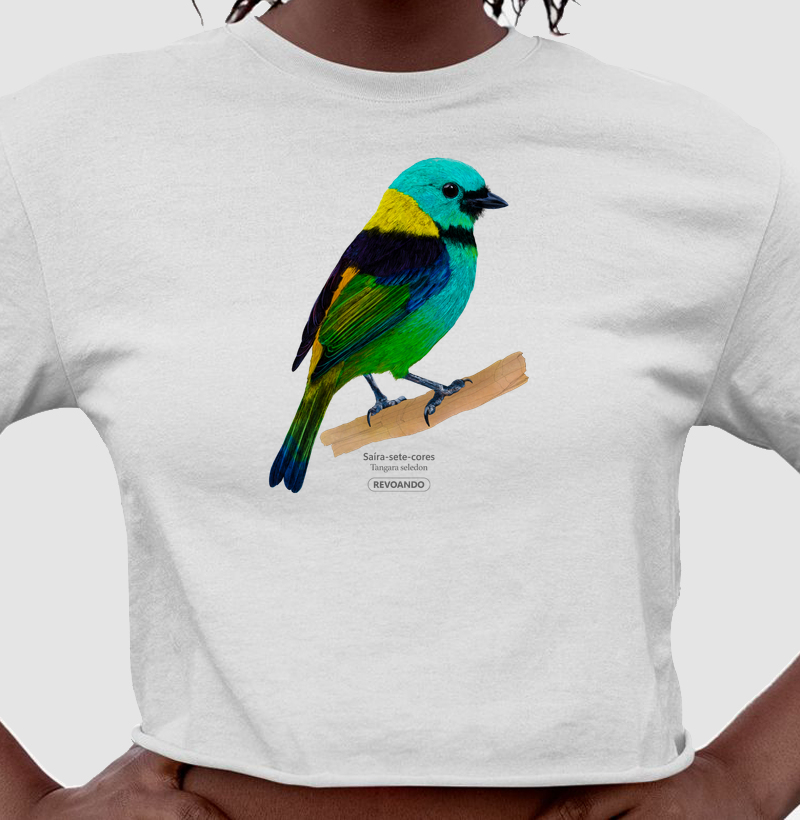 Aves do Brasil- Saíra-sete-cores - Cropped