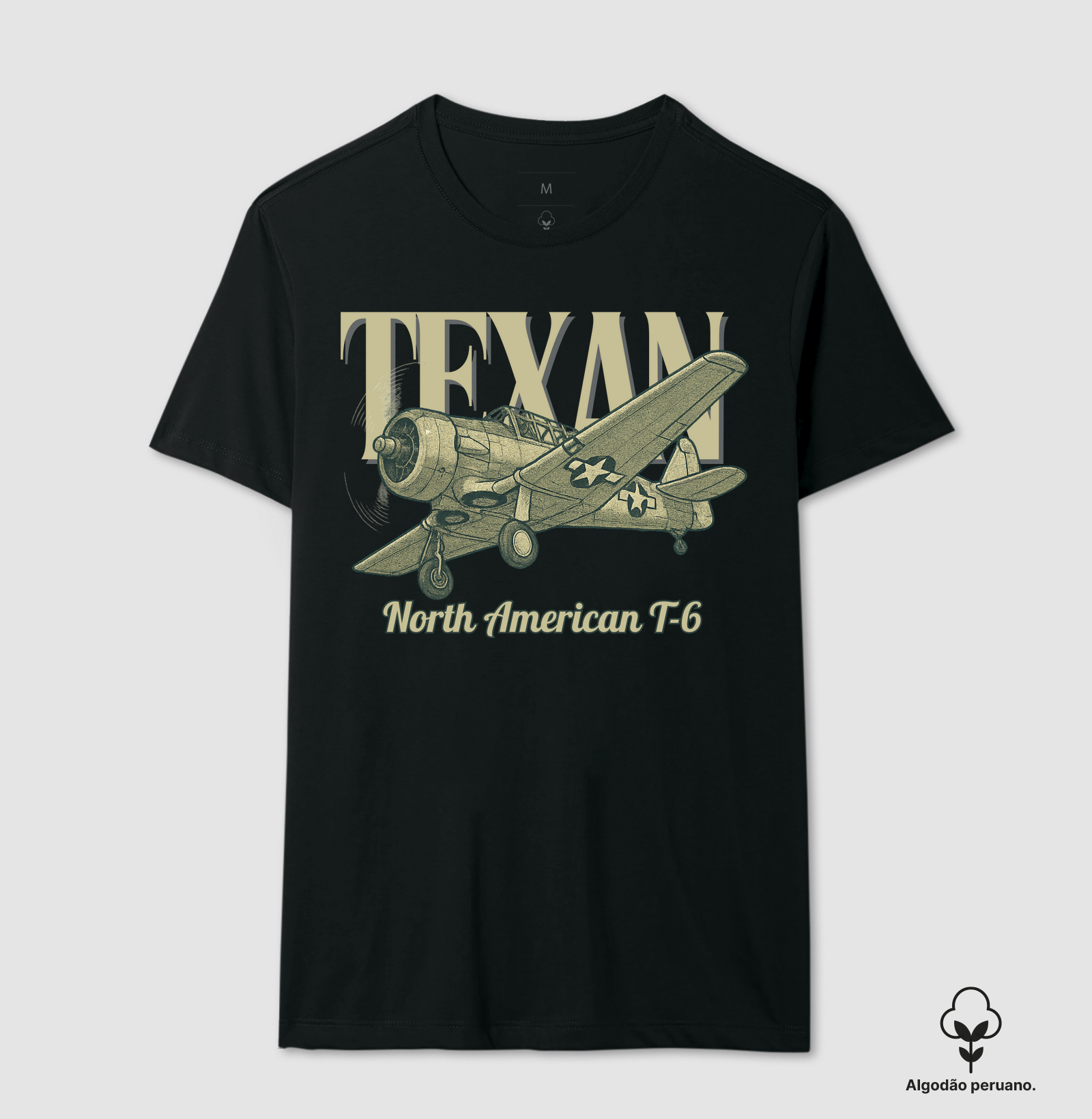T-6 Texan
