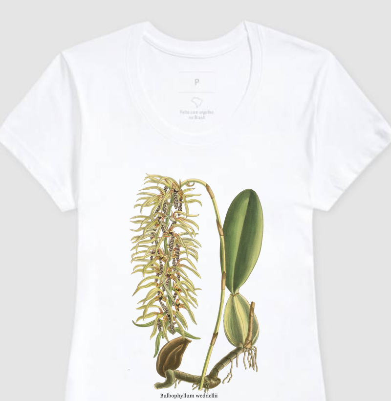Camiseta Feminina Baby Long Bulbophyllum weddellii