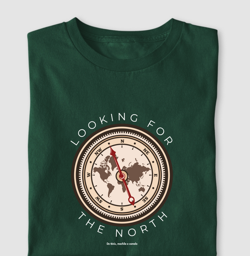 Looking For The North