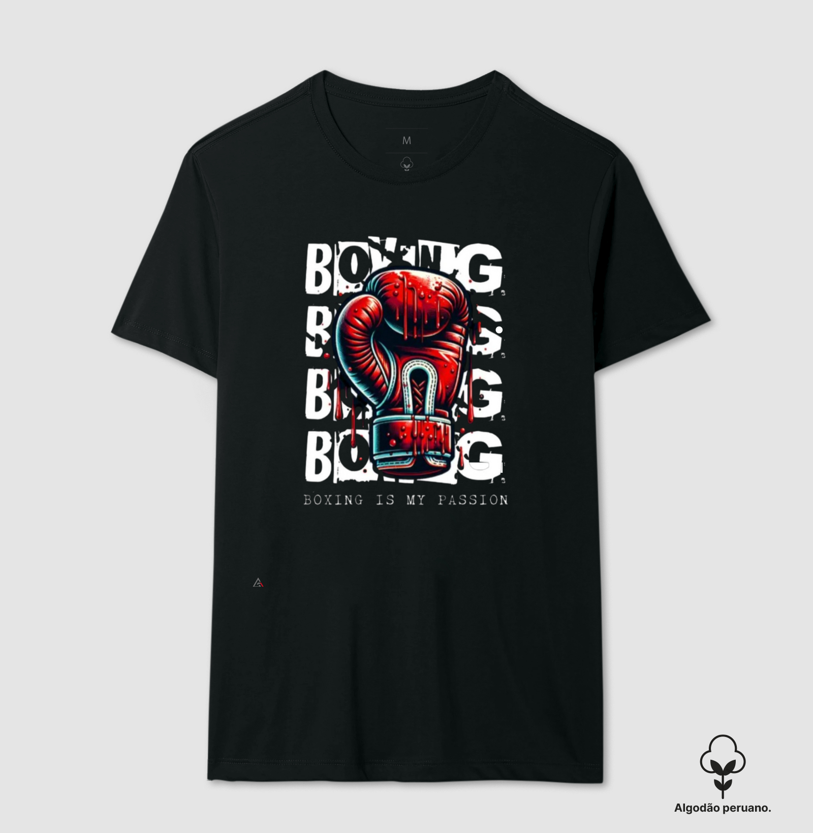 Boxe Minha Paixão
