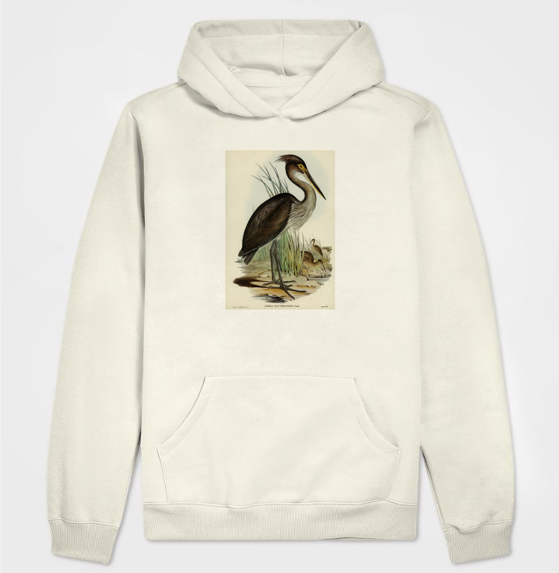 Ardea rectirostris