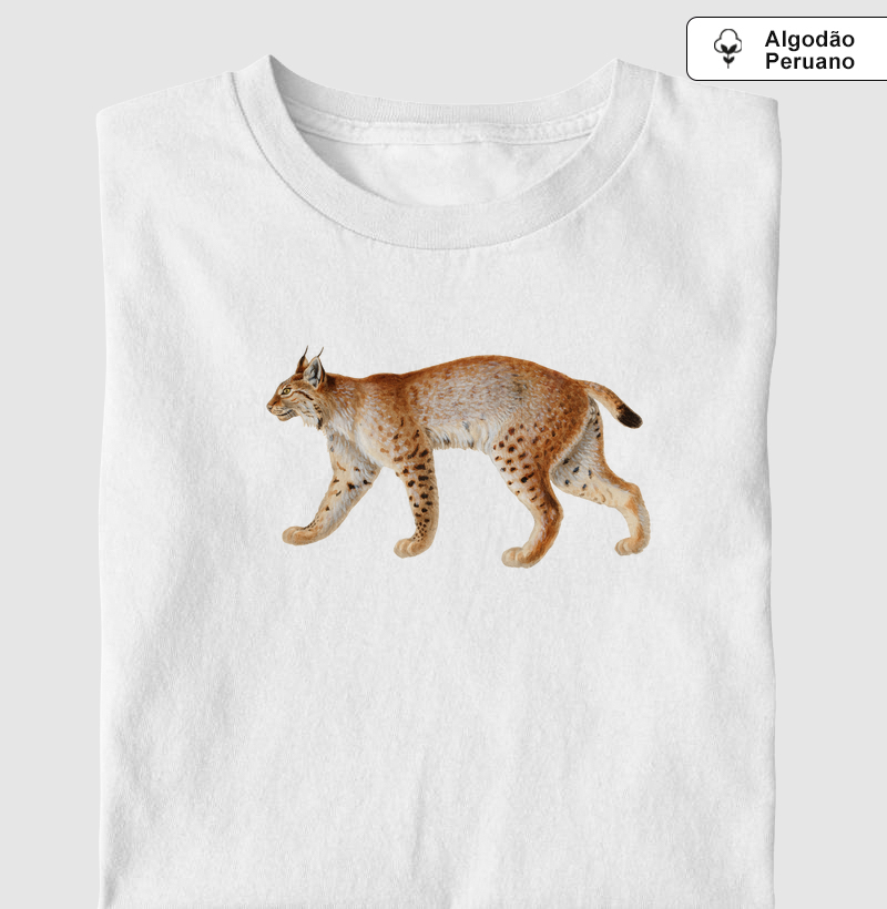 Lince