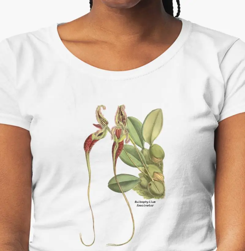 Baby Look Bulbophyllum fascinator t-shirt