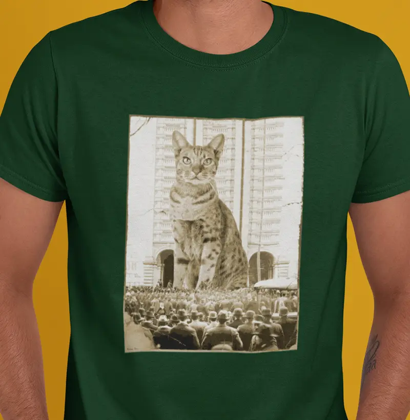 The Big Cat