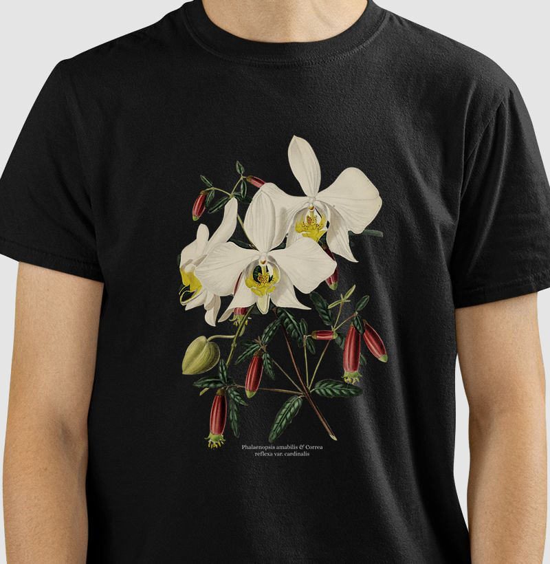 Camiseta Fashion Phalaenopsis