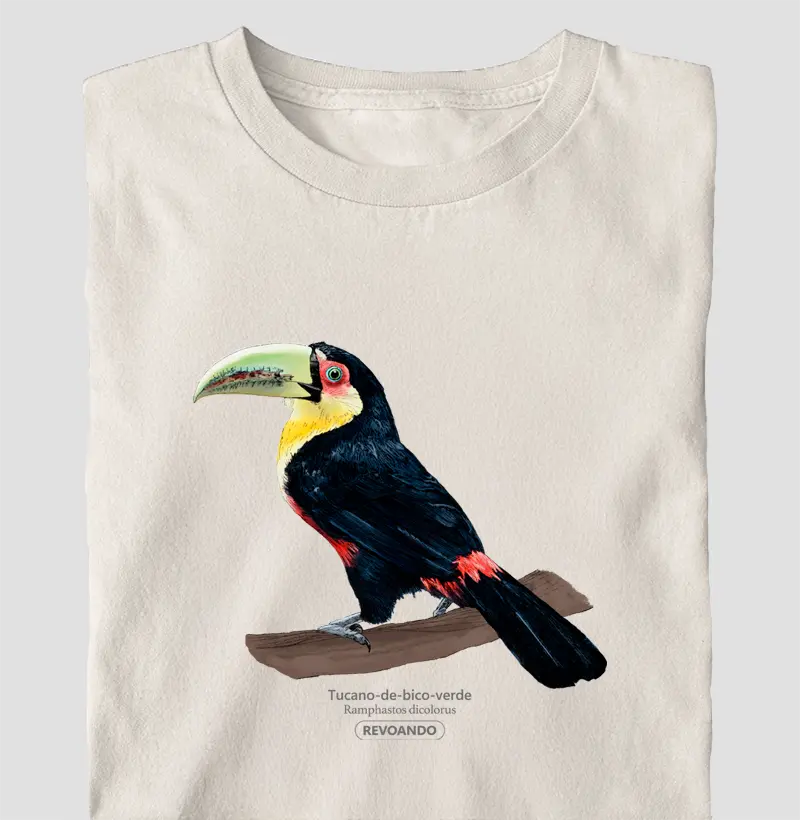 Aves do Brasil - Tucano-de-bico-verde - Oversized