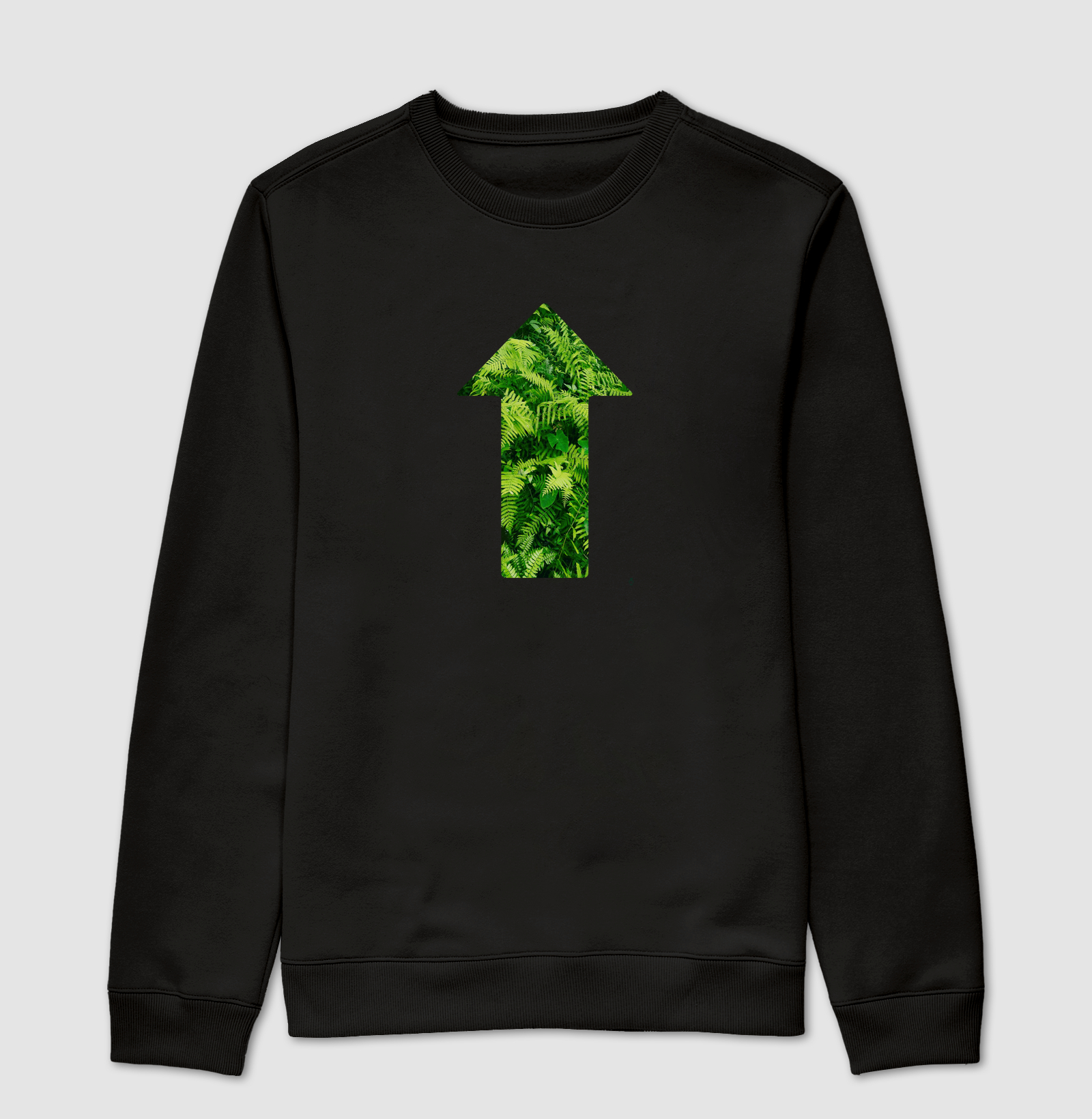 Siga o caminho da Natureza