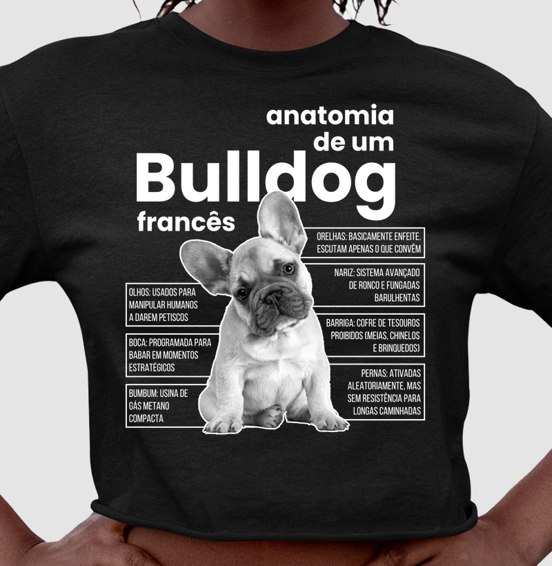 ANATOMIA