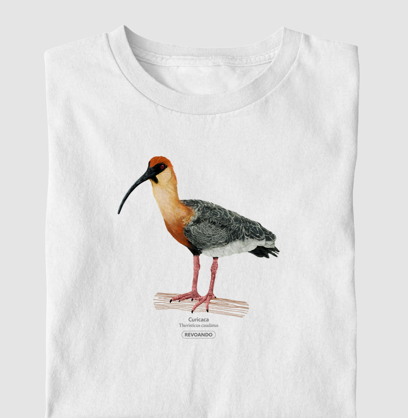 Inky Aves - Curicaca - Infantil