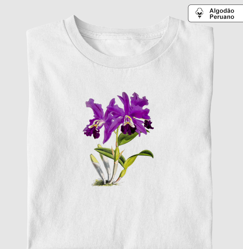 Cattleya Mardellii