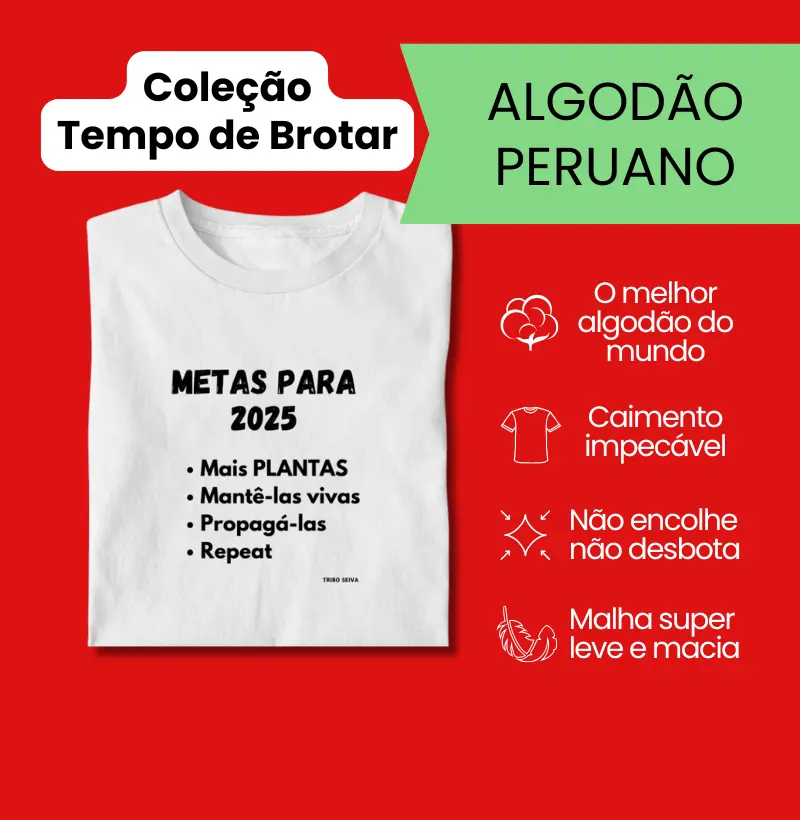 Metas para 2025