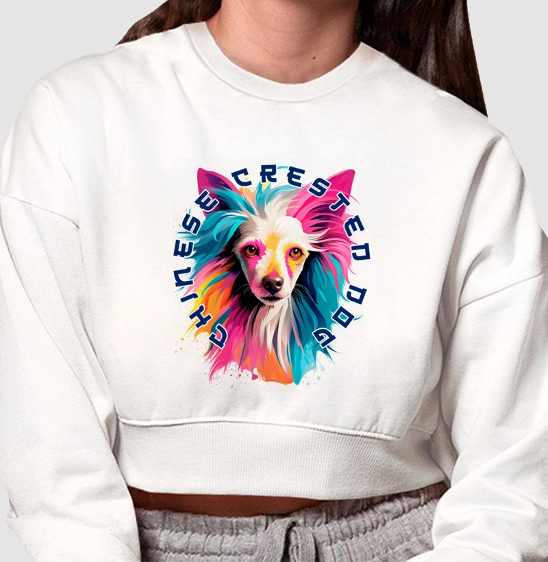 Cão de Crista Chinês Ai Colorida