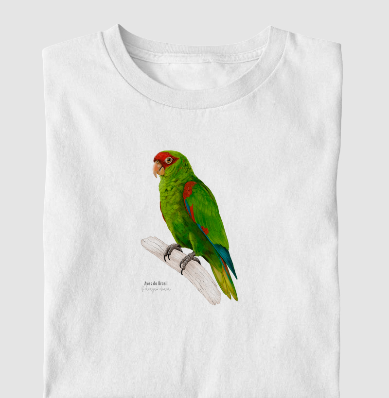 Aves do Brasil - Papagaio-charão - Infantil
