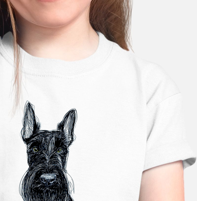 Scottish Terrier 2
