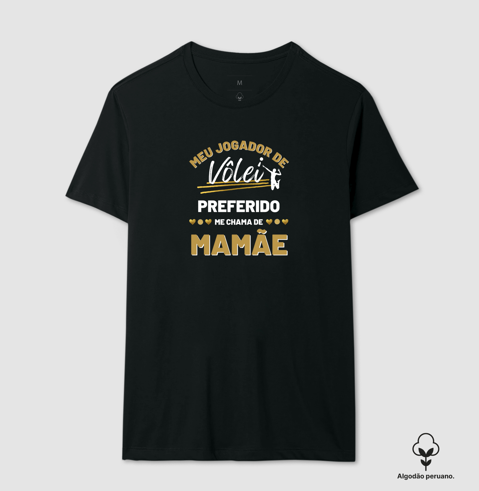 Meu Jogador de Vôlei Preferido