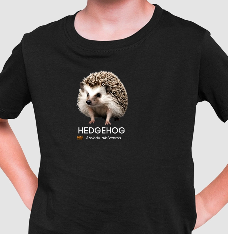 Hedgehog