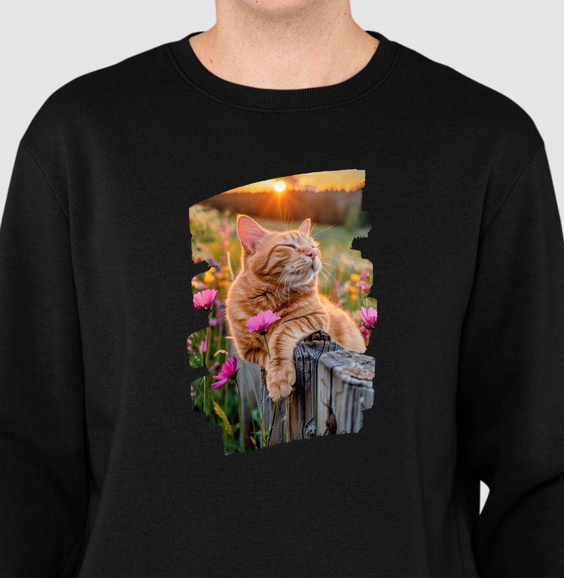 Gato Laranja no Pôr do Sol