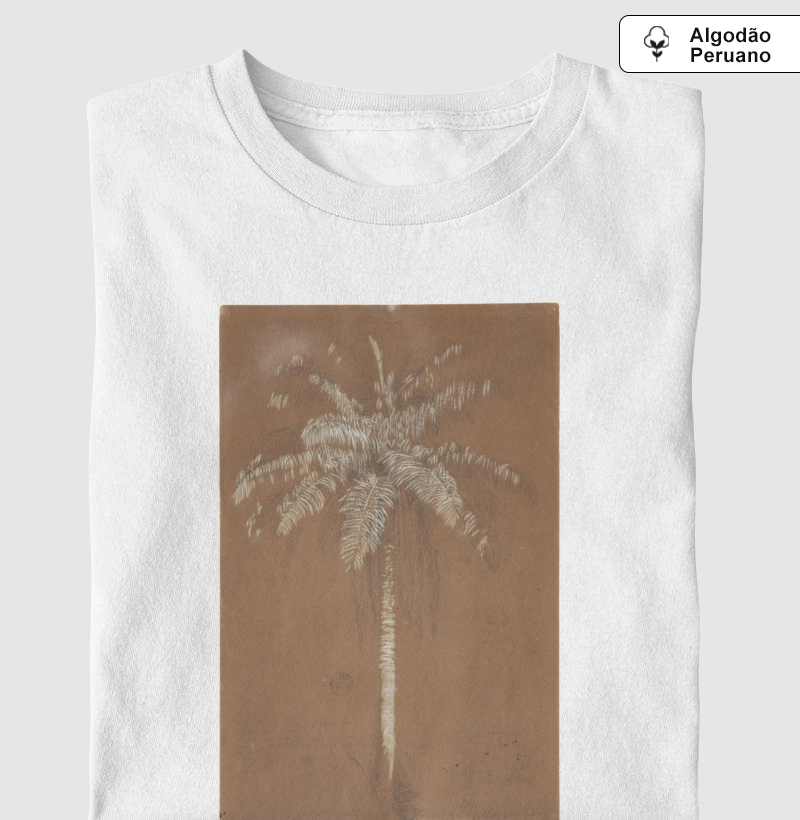 Abaye Palm
