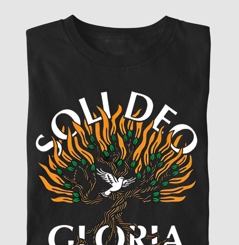 "SOLI DEO GLORIA" "EXALTE A SOBERANIA E MAJESTADE DE DEUS"