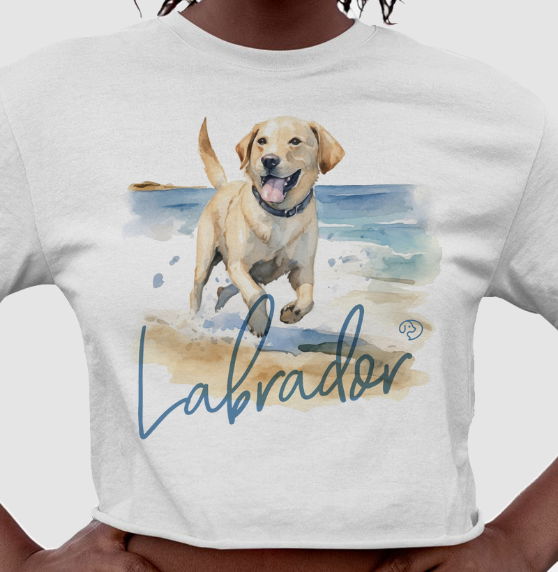 Labrador Splash