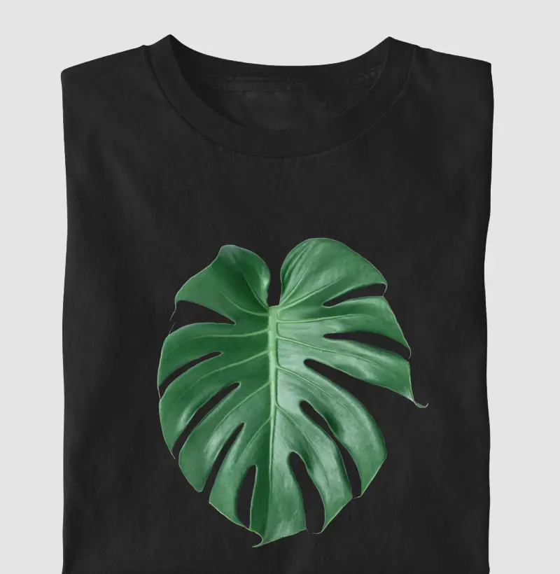 Costela de Adão - Alma Tropical