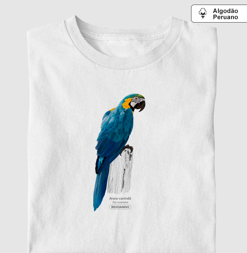 Aves do Brasil - Arara-canindé - Algodão Peruano