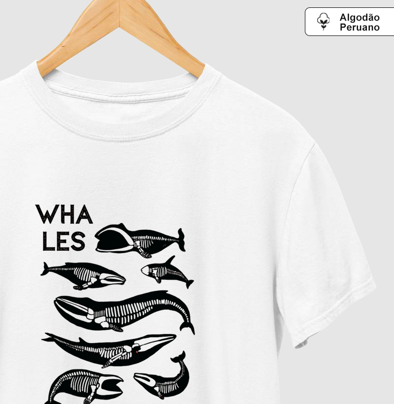 Whales skeleton